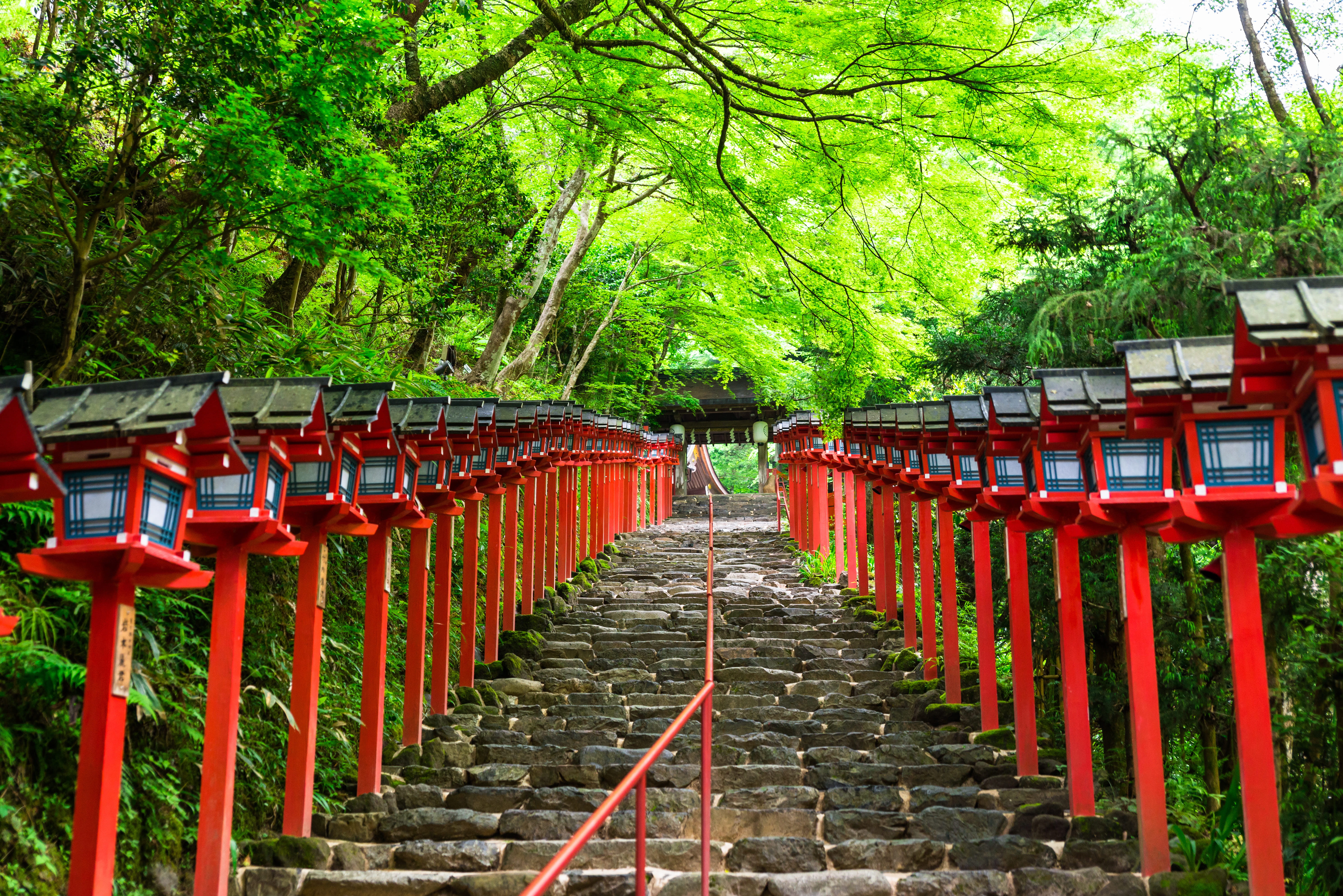 朱色の鳥居が連なる神社参道の観光名所