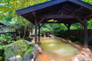 「箱根温泉」1泊2日旅！大自然と地元グルメ満喫ツアー♨
