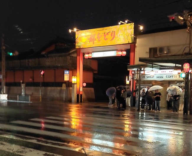 Kyoto's Red Lanterns and Winding Lanes [4 hours]