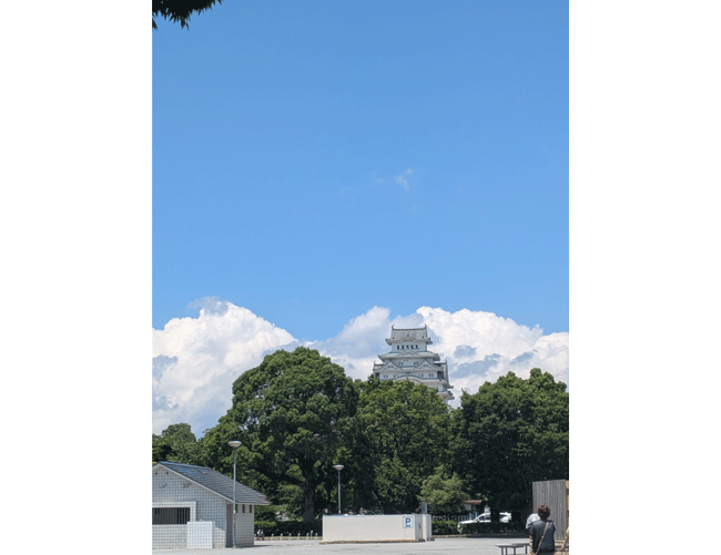 姫路の定番コース！姫路城と好古園ツアー！